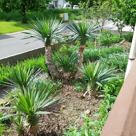 Urige Gemuetliche 64 M2 In Dielheim, Naehe Heidelberg * Dielheim