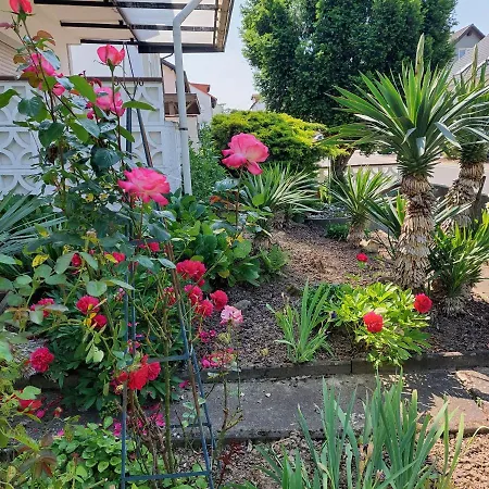 Apartamento Urige Gemütliche 64 M2 In Dielheim, Nähe Heidelberg