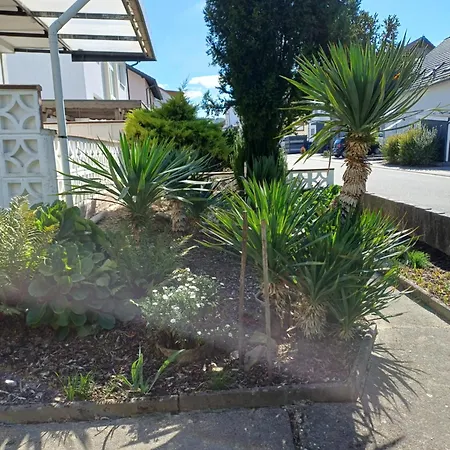 Urige Gemütliche 64 M2 In Dielheim, Nähe Heidelberg