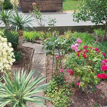 Apartamento Urige Gemütliche 64 M2 In Dielheim, Nähe Heidelberg